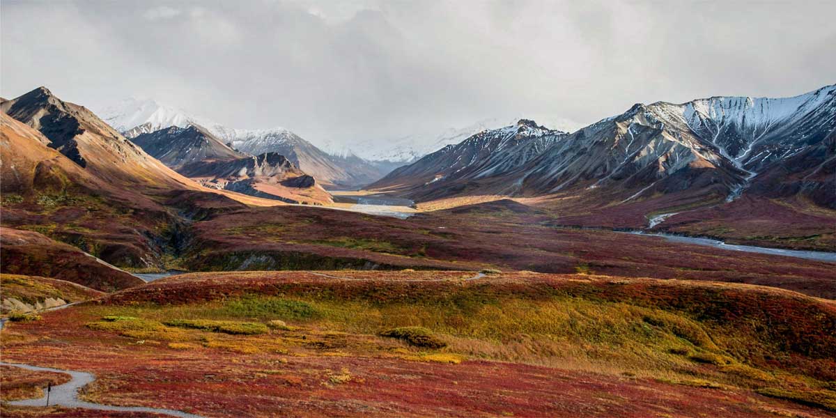 Alaska tundra with mountains in the background