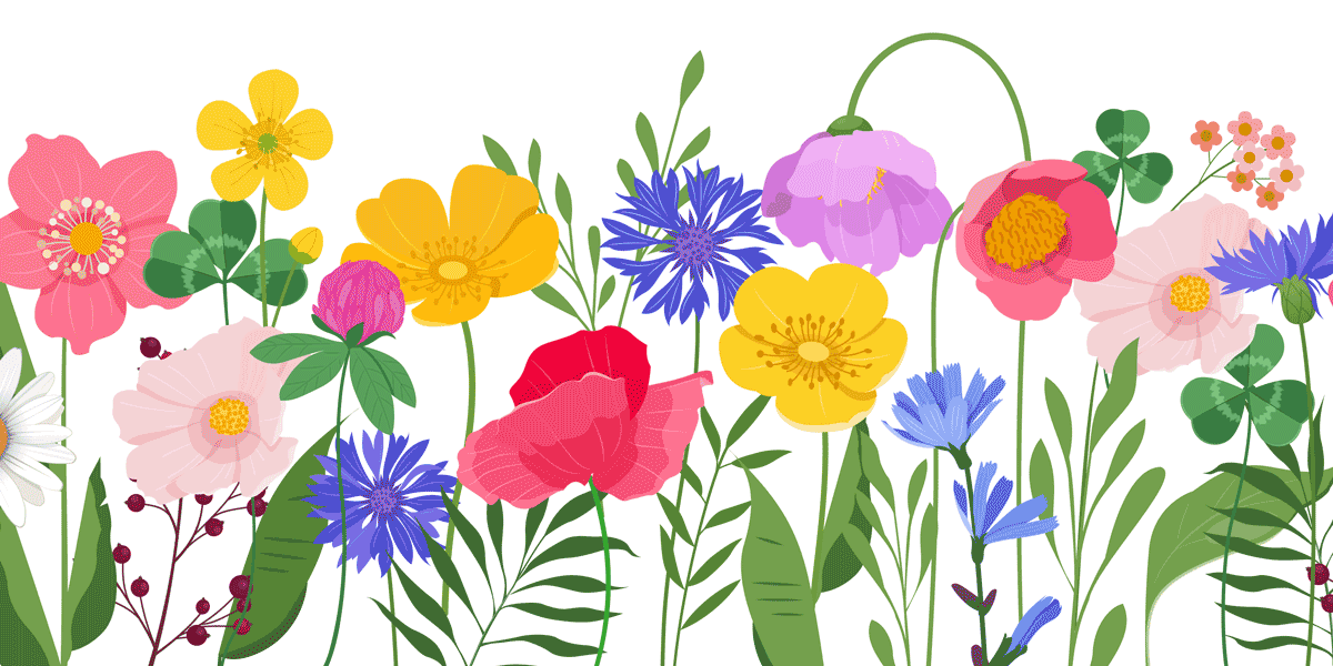 wild flowers