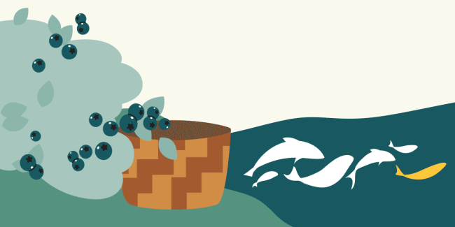berries, a basket, and some fish swimming in river