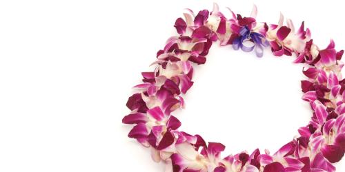 A Hawaiian lei