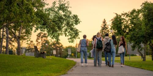 Group of students walking in a park after school and the sun is setting